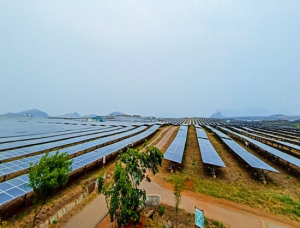 After Bhadla Solar Park, Jakson Group Wins Bid for 2 New O&M Projects from NTPC